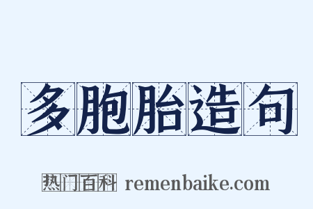多胞胎造句是什么意思的图片